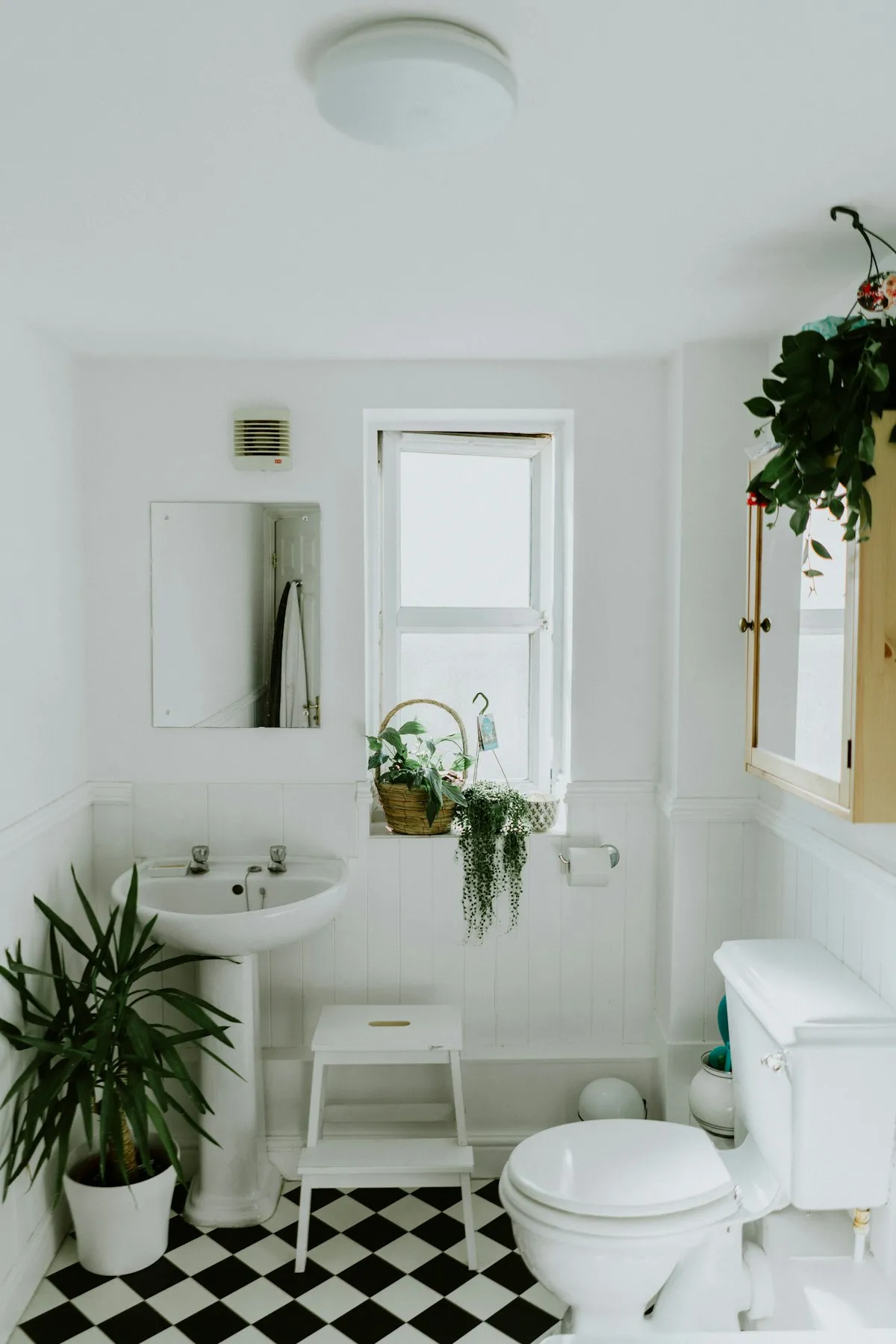 Baño moderno tipo spa con ducha